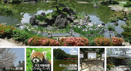 大阪市花と緑の情報サイト「天王寺公園」